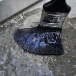 sealing the floor sealing the floor