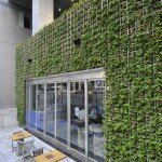 exterior first morning 2 exterior first morning 2