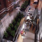 planter boxes with trees planter boxes with trees