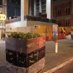 strawberries arriving 2 strawberries arriving 2