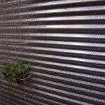 the vertical garden begins the vertical garden begins