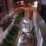 planter boxes from above planter boxes from above