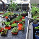 planting begins 2 planting begins 2