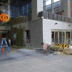 Strawberries going into vertical garden Strawberries going into vertical garden