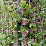 GHP_wild strawberry wall GHP_wild strawberry wall