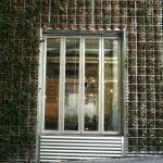 the coffee window the coffee window